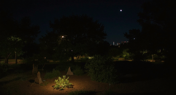 An Evening with Barcelona’s Nighttime Botanical Walks: Discovering Hidden Natural Rhythms
