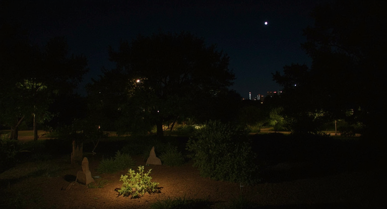 An Evening with Barcelona’s Nighttime Botanical Walks: Discovering Hidden Natural Rhythms